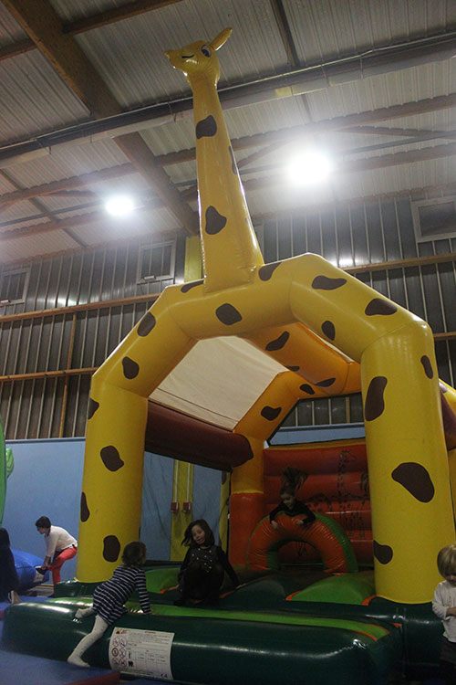 chateau girafe